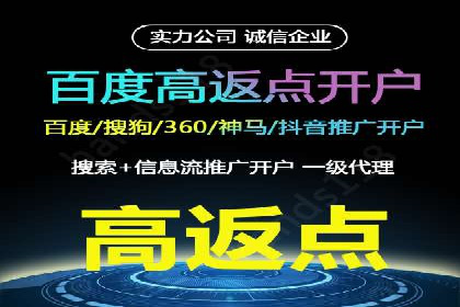 百度竞价策略成功案例：如何做到日赚千元